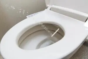 Bidet toilet with spray