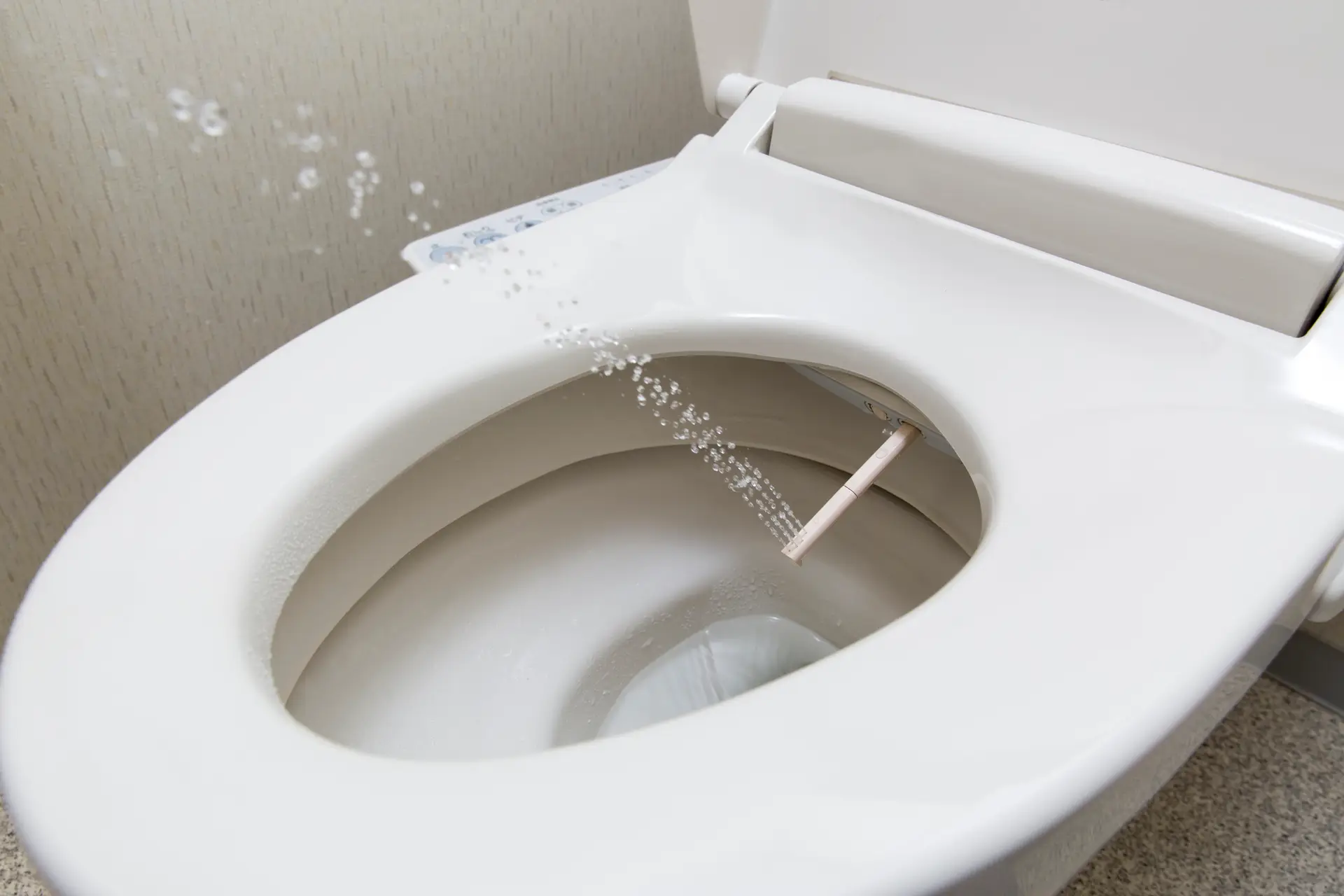 Bidet toilet with spray